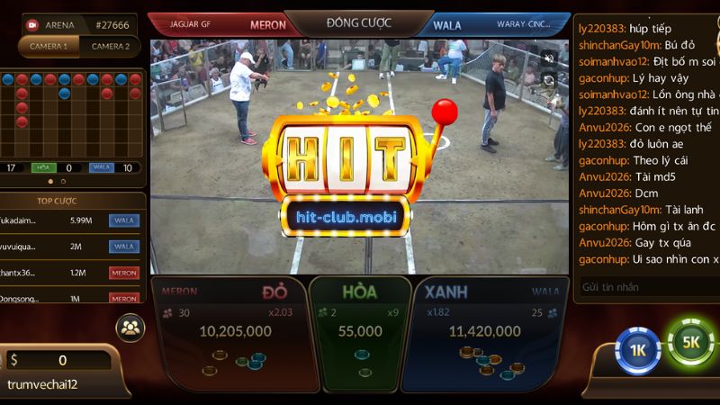 Cách tham gia chơi đá gà trực tiếp tại Hitclub